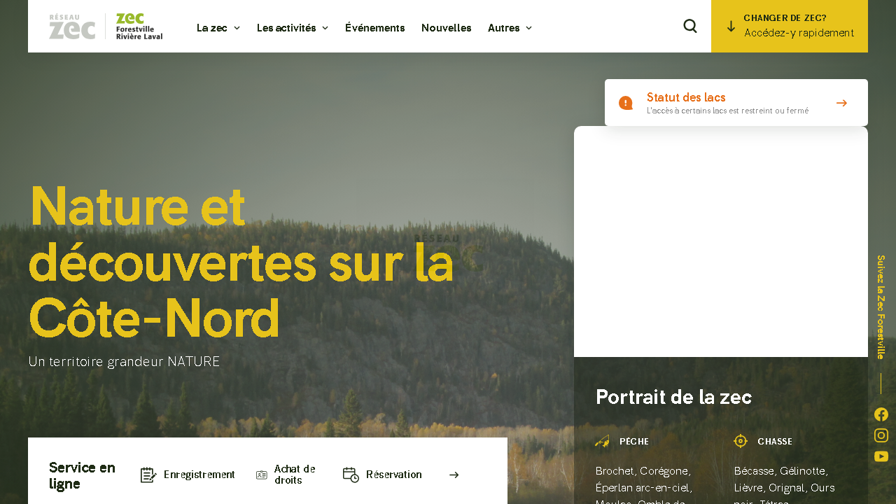 Capture d'écran de http://zecforestville.reseauzec.com/